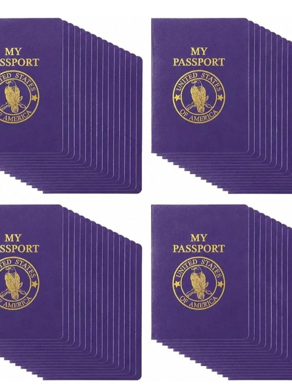 My Passport Party Favor Booklets - Purple - Bulk Pack (115)
